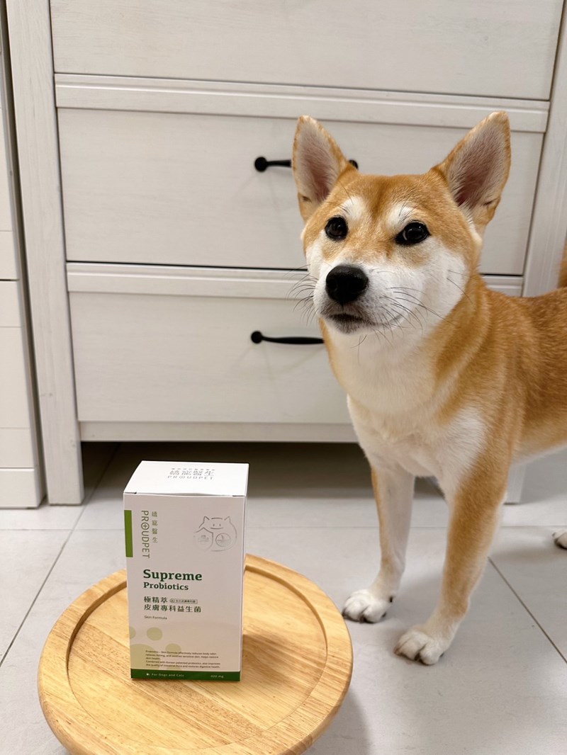 試用